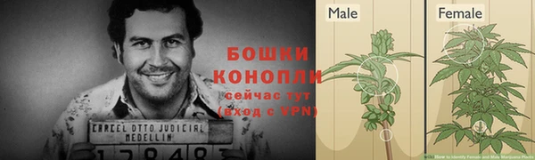 первитин Белокуриха