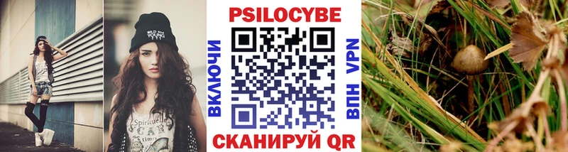 hydra вход  Мегион  Псилоцибиновые грибы Cubensis 